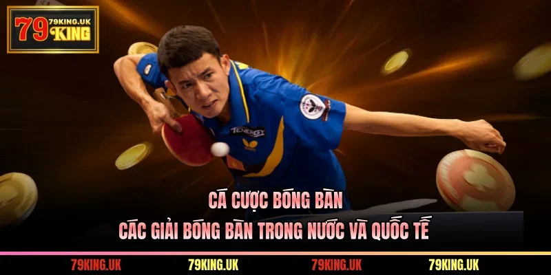 Cá Cược Bóng Bàn – Các Giải Bóng Bàn Trong Nước Và Quốc Tế