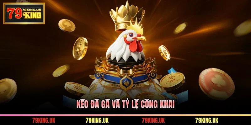 Kèo đá gà và tỷ lệ công khai