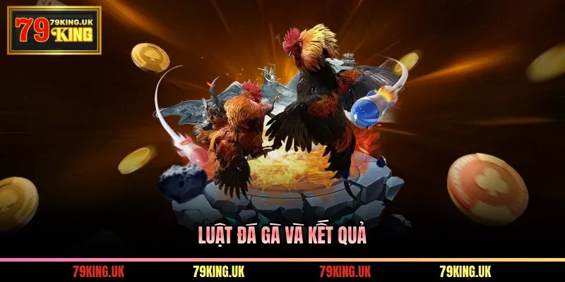 Luật đá gà và kết quả 